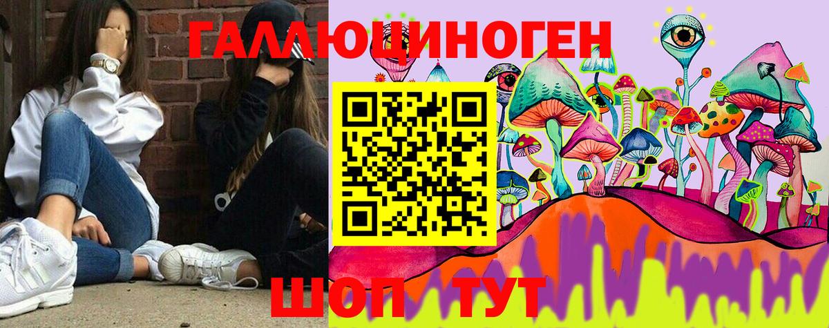 Воронеж  Псилоцибиновые грибы Cubensis  Вход с VPN 