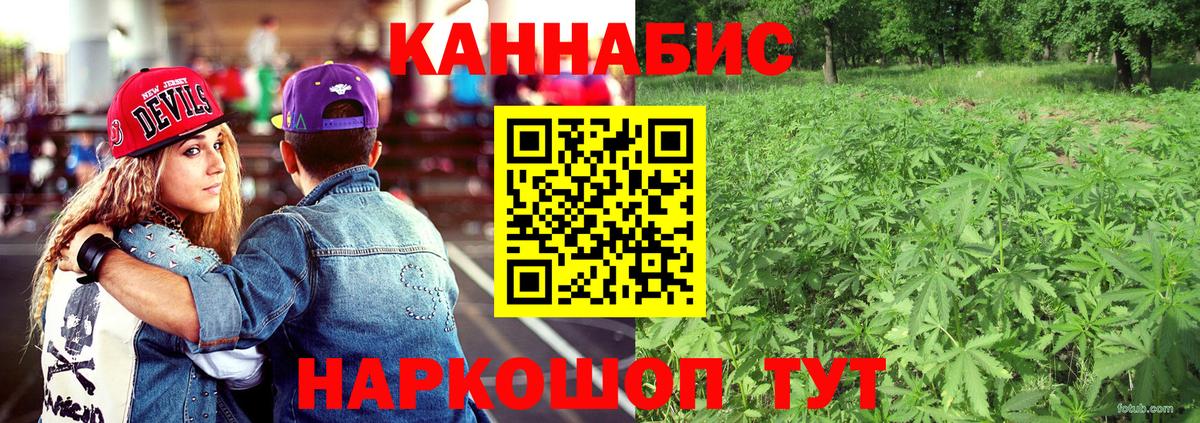 Бошки марихуана конопля Воронеж